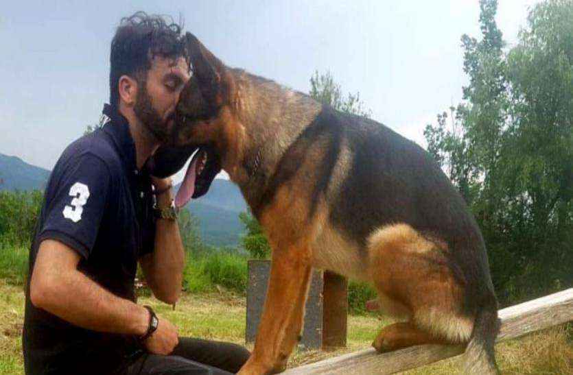 italy dog इटली: डॉग की मौत पर मातम, लाखों लोगों ने जताया दुःख