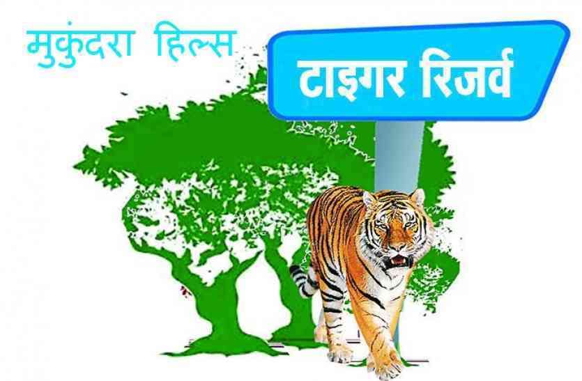 Mukundra Hills Tiger Reserve एनटीसीए का सरकार को झटका- बाघिन शिफ्ट करने हैं तो हटाओ 35 करोड़ की दीवार