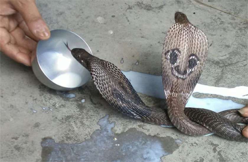 naag panchami