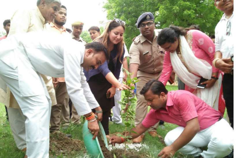 Tree फिरोजाबाद की डीएम नेहा शर्मा ने एक माह में इतने पौधे लगाने का लिया संकल्प, पढिए ये खबर