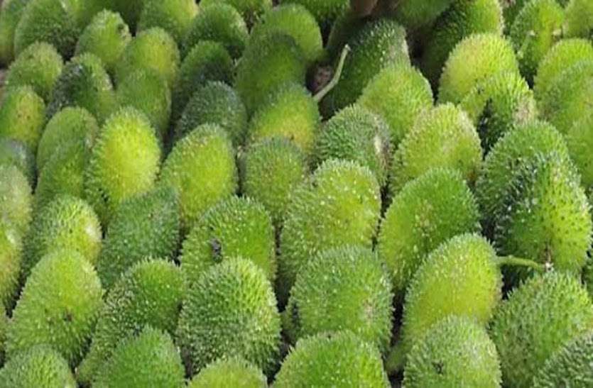 vegetable बारिश के सीजन में ही मिलती है सब्जी, एक साथ कई जानलेवा बिमारियों की इसमें है दवा