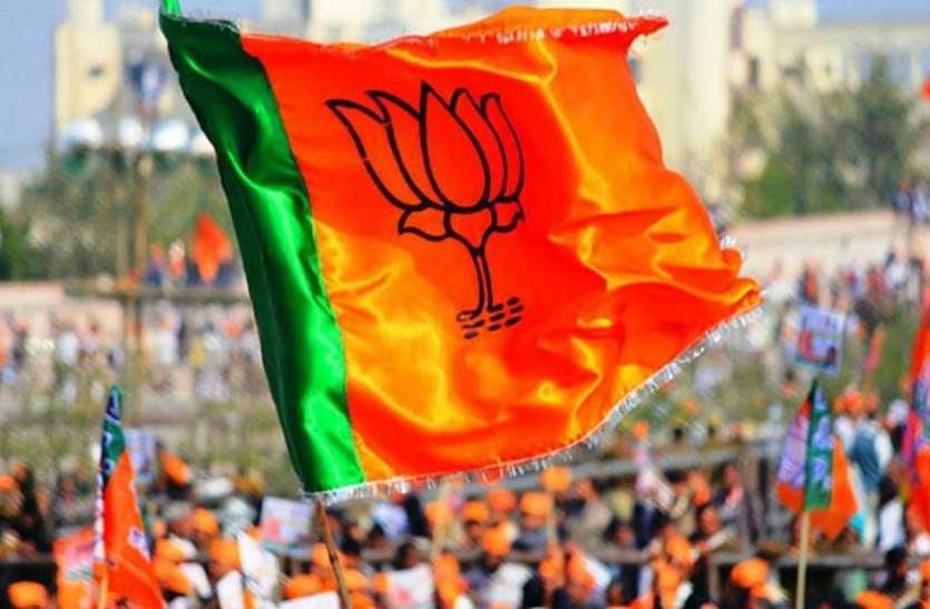 bjp file photo भाजपा के सभी 12 सांसदों ने रघुवर सरकार के फैसले के खिलाफ खोला मोर्चा,गुणवत्ता के नाम पर स्कूल बंद करने के फैसले का विरोध