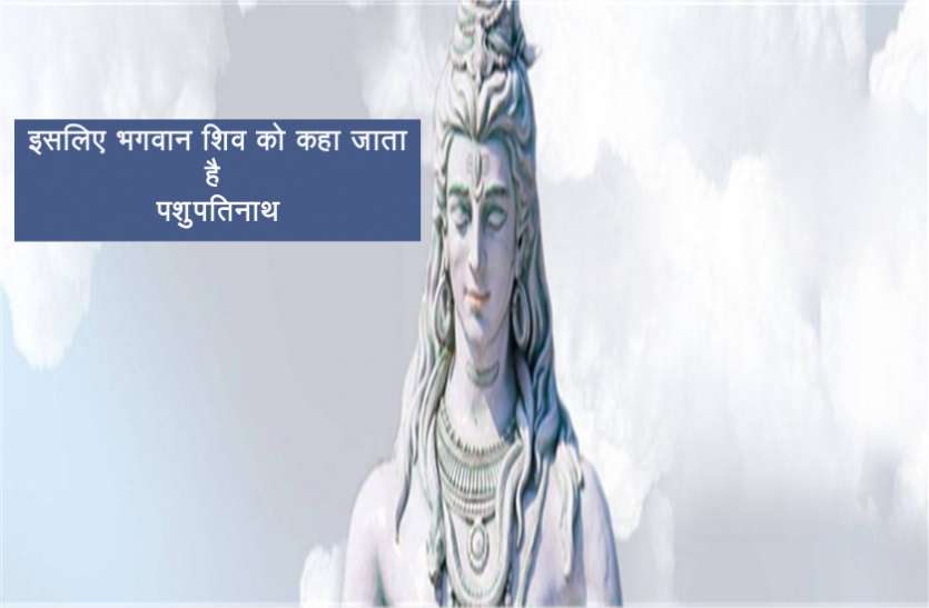 pashupatinath इसलिए भगवान शिव को कहा जाता है पशुपतिनाथ, जानें रहस्मय कारण