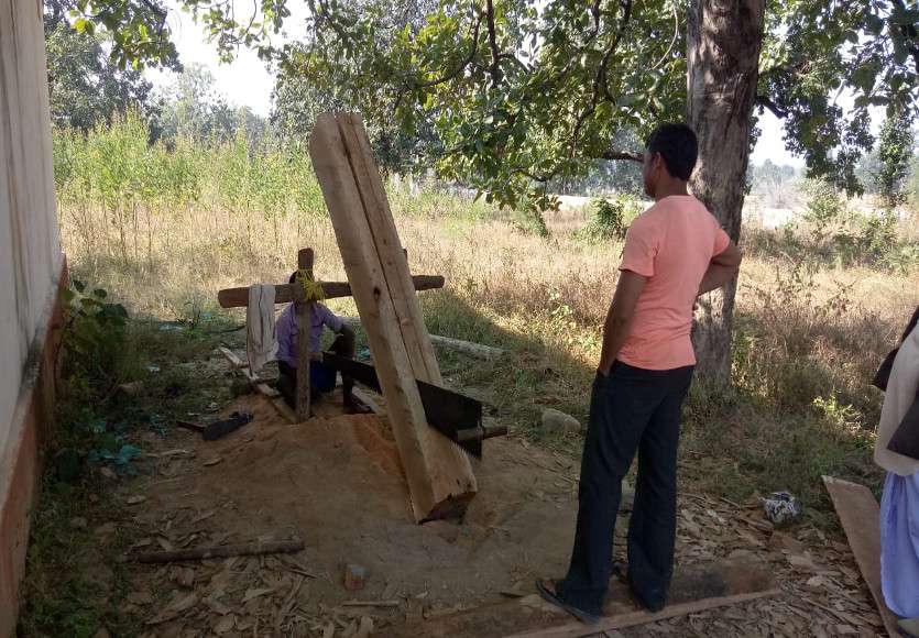 Tree cutting