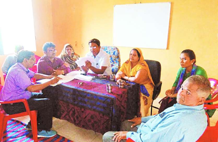 patrika यहां 330 हरे पेड़ों को काटने के लिए लगी बोली