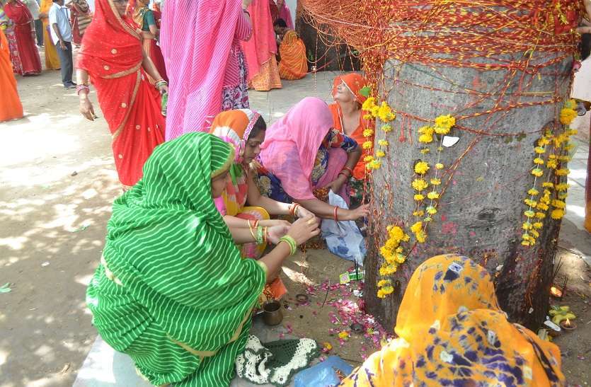 worship on haryali amavasya worship on haryali amavasya