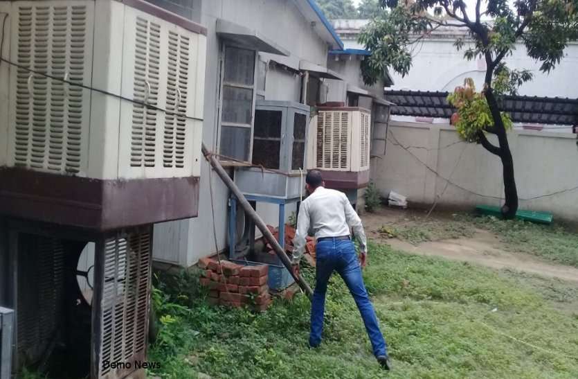 Dengue Havoc बेहद खतरनाक है ये मच्छर, तलाशने 3000 घरों में दी दस्तक, यहां कूलर में मिले निशान