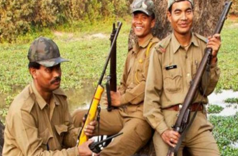 game guard सरकारी नाैकरी : वनरक्षक व गेमगार्ड के पदाें पर भर्ती, याेग्यता 10वीं पास, करें अावेदन