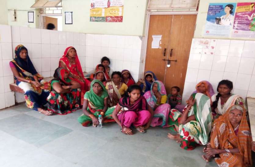 Forest department alert 17 men 17 women arrested 3 girls arrested जिले में पहली बार देखी वन विभाग की ऐसी कार्रवाई, देखने वाले रह गए दंग