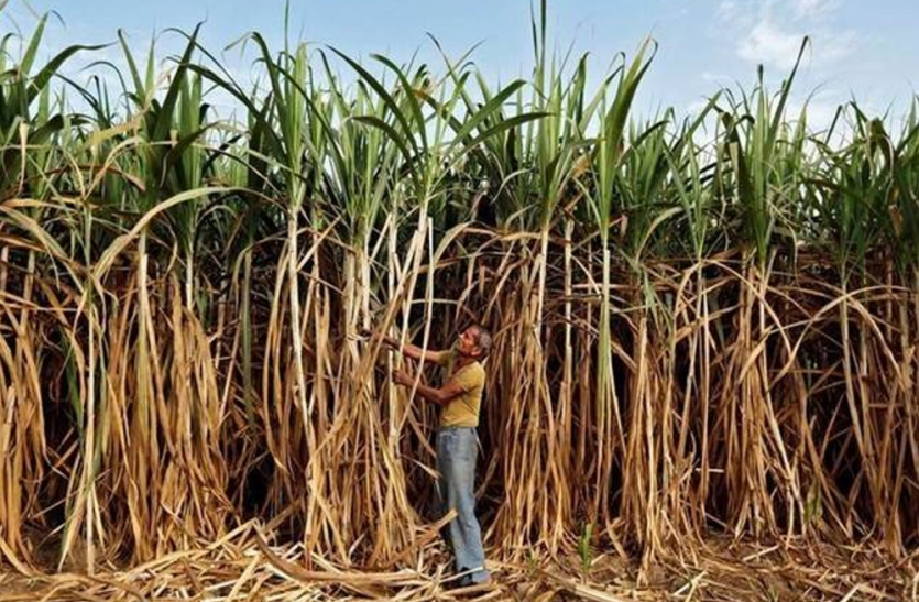 UP government decision for farmers lakhimpur kheri news खांडसारी और गुड़ उद्योग को बढ़ावा देगी सरकार, नई नीति का दिखने लगा असर