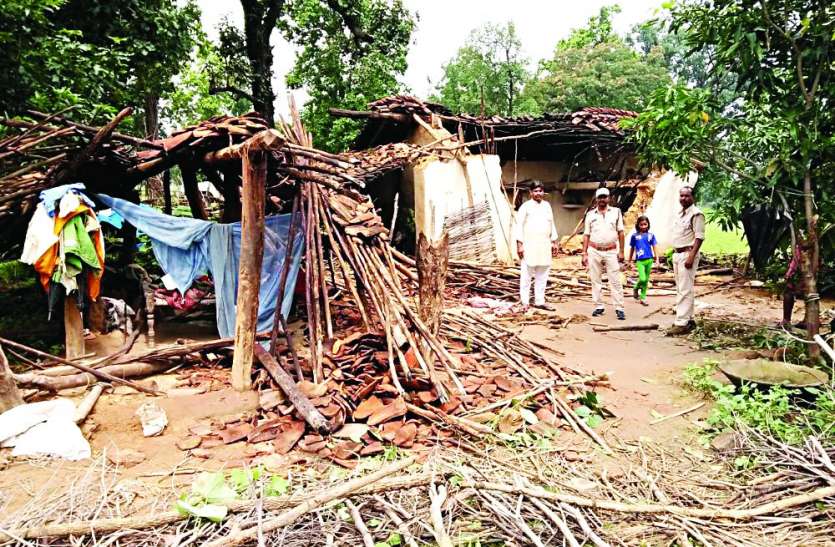 Herd of elephants strays into Sidhi district madhya pradesh छत्तीसगढ़ की सीमा लांघकर आधी रात MP पहुंचा हाथियों का झुंड, उजाड़ दिया घर, खा गए अनाज