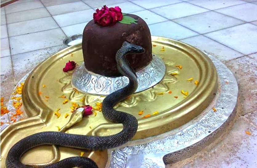 shiv mandir नागपंचमी विशेष : यहां साल में एक बार शिव जी को नमन करने आता है नाग-नागिन का जोड़ा, नहीं पहुंचाता कोई नुकसान