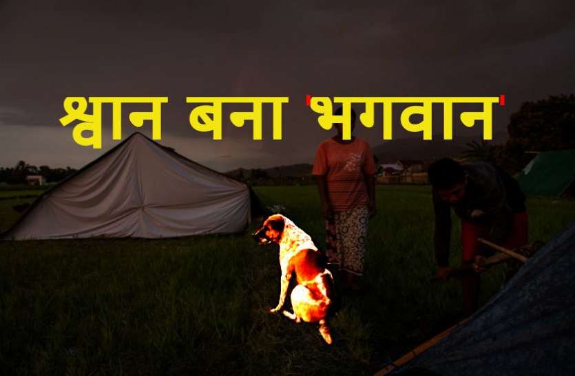 Dog Saved Life केरल में श्वान बना 'भगवान', पूरे परिवार पर नहीं गिरने दी चट्टान