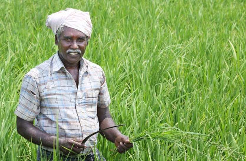 kota बरसात से दमके किसानों के चेहरे