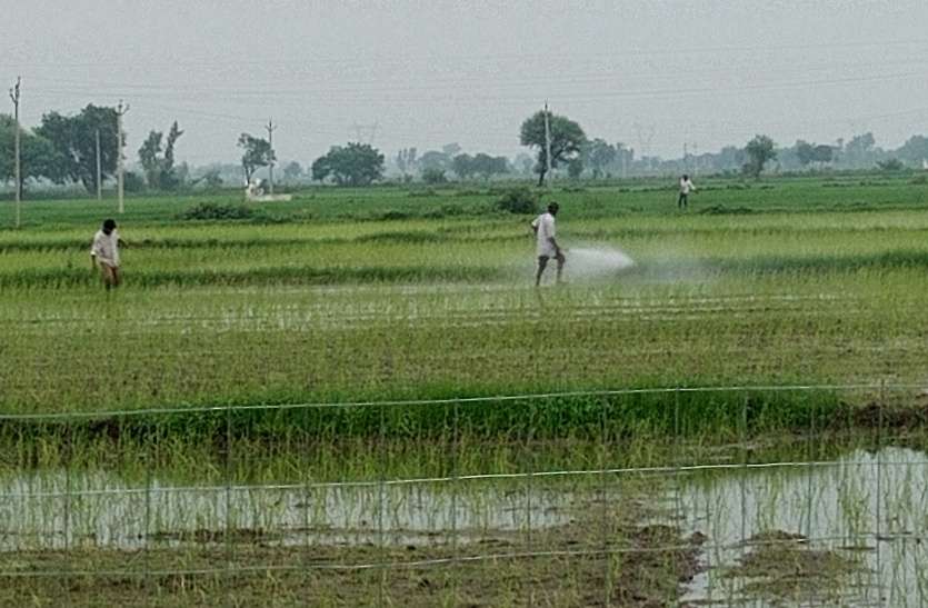 baran पलायन करने वाले पात्र किसान को लेकर परेशानी