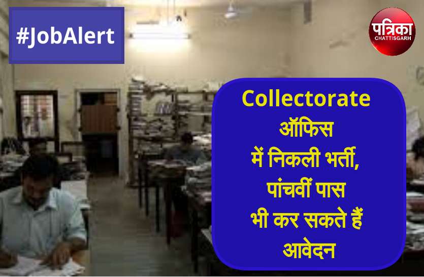 job alert कलेक्ट्रेट ऑफिस में निकली 11 पदों पर भर्ती, पांचवीं पास भी कर सकते हैं आवेदन