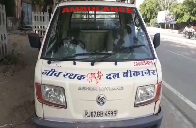 rajasthan news घायल जीव-जन्तुओं के लिए शुरू की एम्बुलेंस सेवा