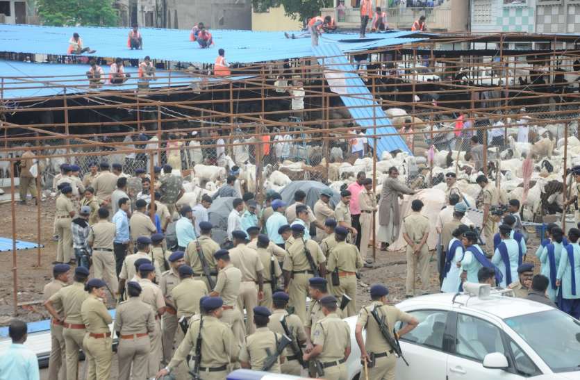 patrika मेगा डिमोलिशन : लंबे विवाद के बाद मनपा ने ढहाई बकरा मंडी