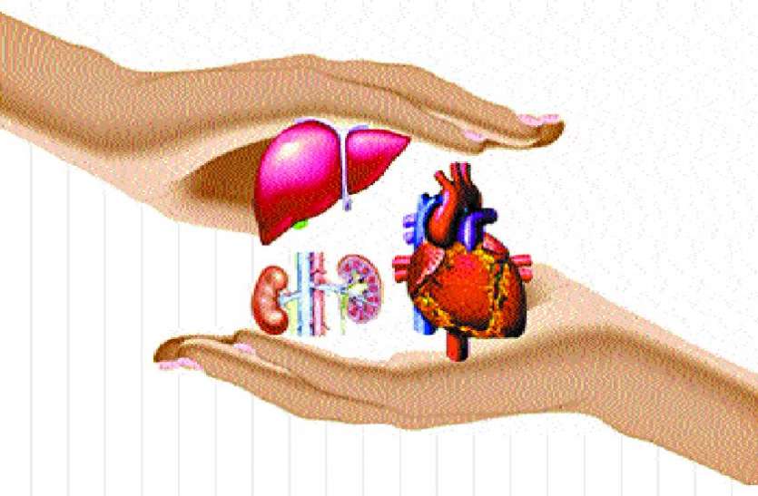 Organ Donation world organ donation day 2019: मरकर भी रहोगे जिंदा