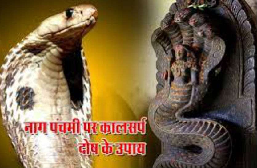 Nag Panchami कालसर्प दोष निवारण के लिए सर्वोत्तम है नागपंचमी का दिन, करें ये उपाय
