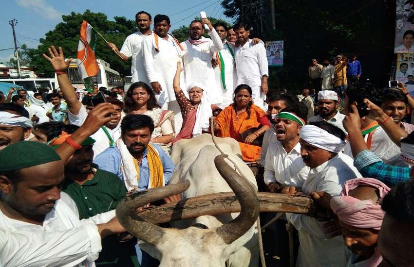 BJP के गढ़ में कांग्रेस और किसानों का हल्ला बोल BJP के गढ़ में कांग्रेस और किसानों का हल्ला बोल
