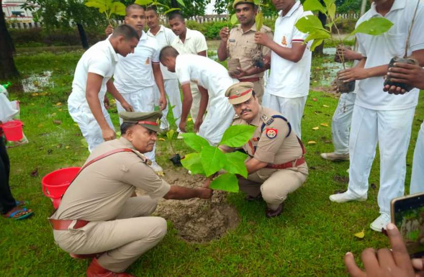 bahraich डीएम ने किया पौधा रोपण, लगाए गए दस लाख 54 हजार 245 पौध