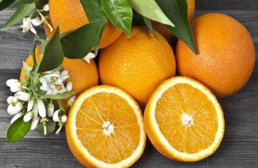 Citrus Fruit Citrus Fruit