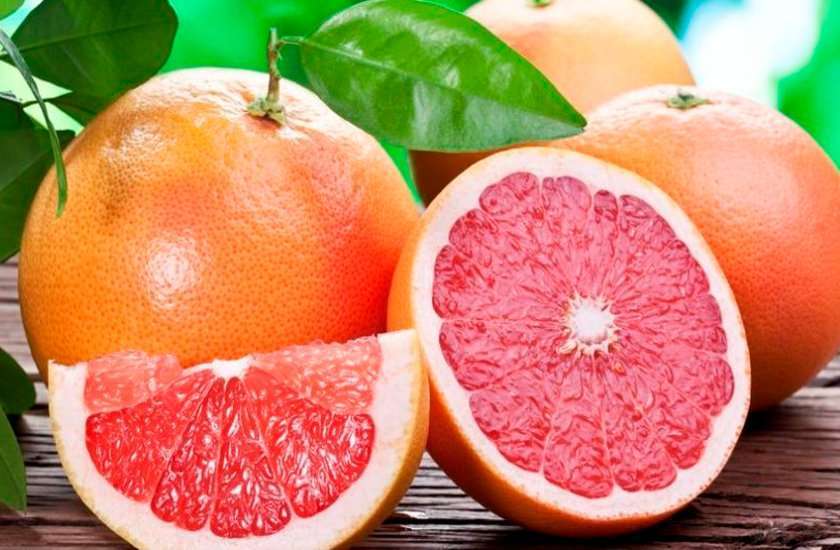 Citrus Fruit Citrus Fruit