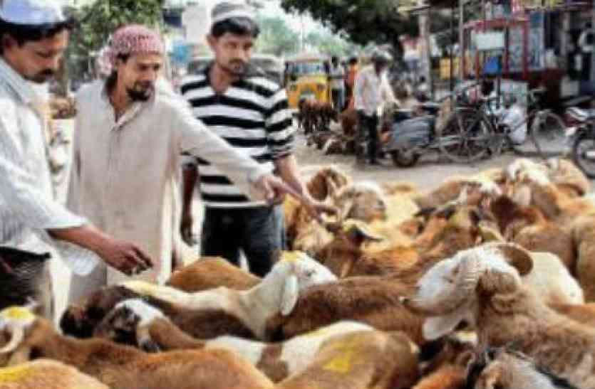 file photo तेलंगाना में इस साल क़ुर्बानी के बकरों की क़ीमत ने छुआ आसमान,ईद की सुबह तक आबाद दिखी मंडियां