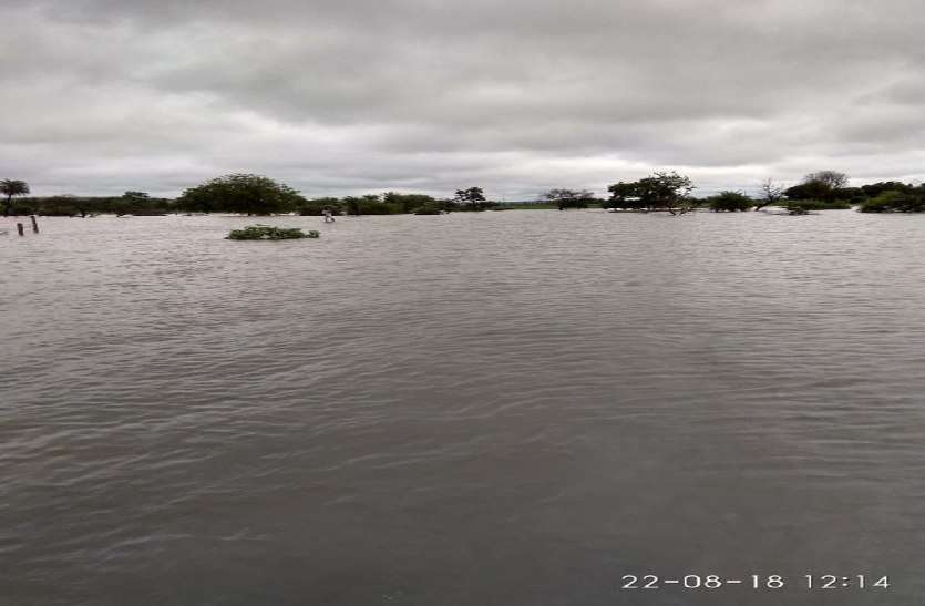 barish विदिशा का हलाली बांध 2.21 मीटर खाली