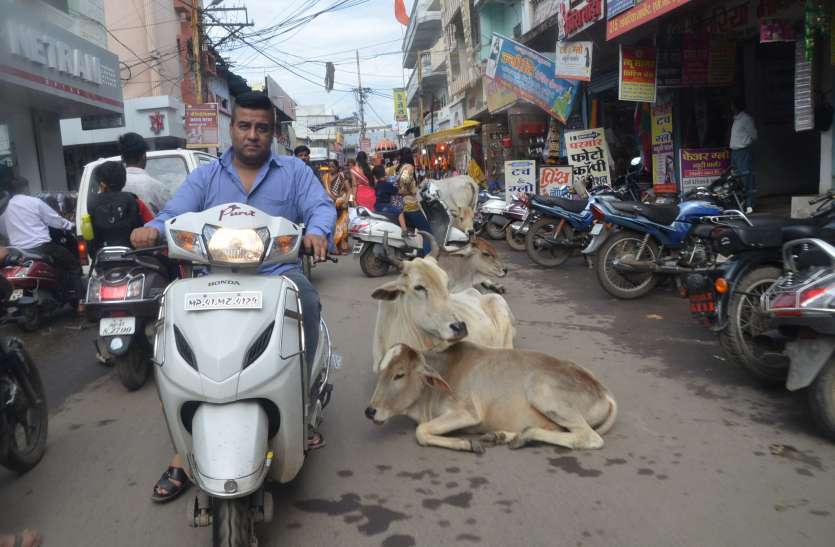 seoni शहर की समस्याओं पर चेम्बर ऑफ कॉमर्स ने जताई चिंता