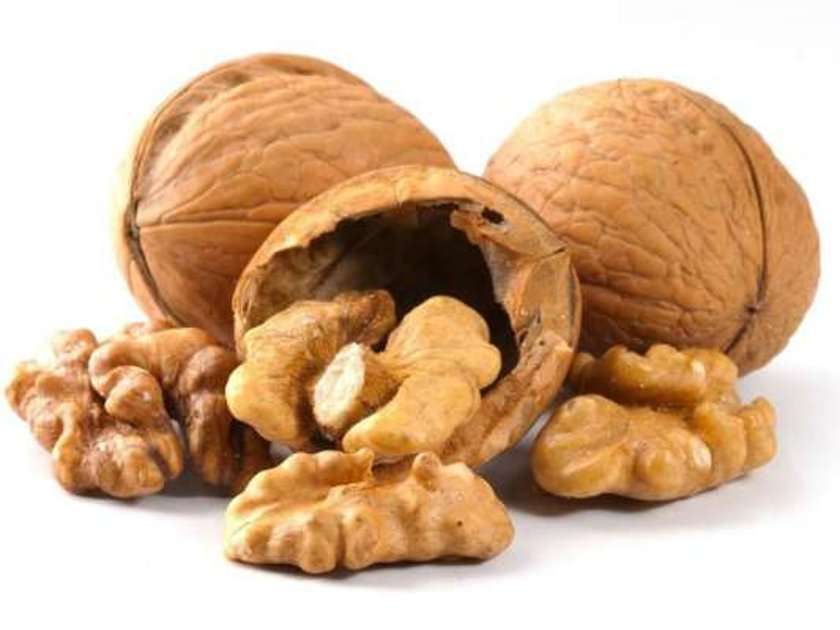 Walnut Walnut
