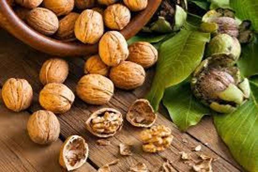 Walnut Walnut