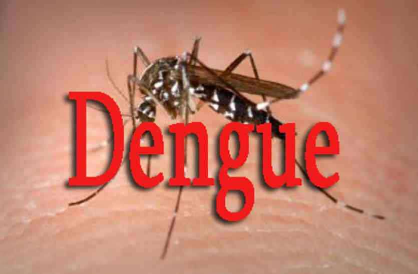 dengue chikungunya treatment in hindi घर से निकला था डेंगू का लार्वा मारने, खुद हो गया शिकार