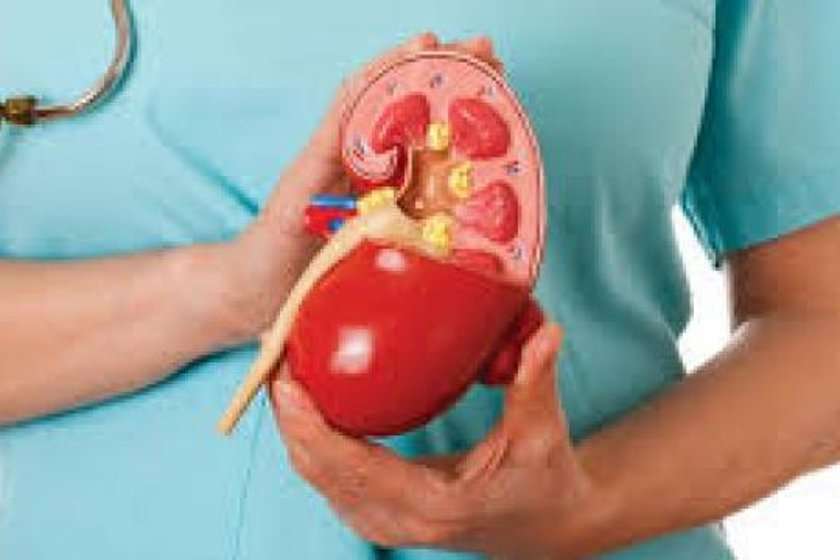 Kidney Awareness Week Kidney Awareness Week