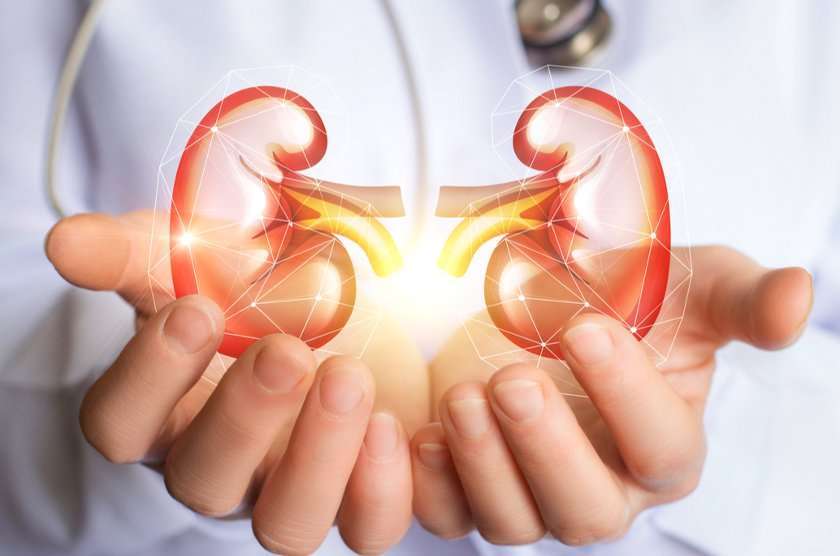 Kidney Awareness Week Kidney Awareness Week