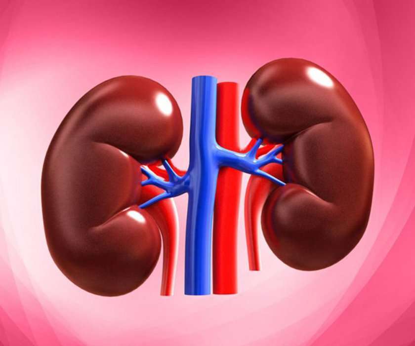 Kidney Awareness Week Kidney Awareness Week