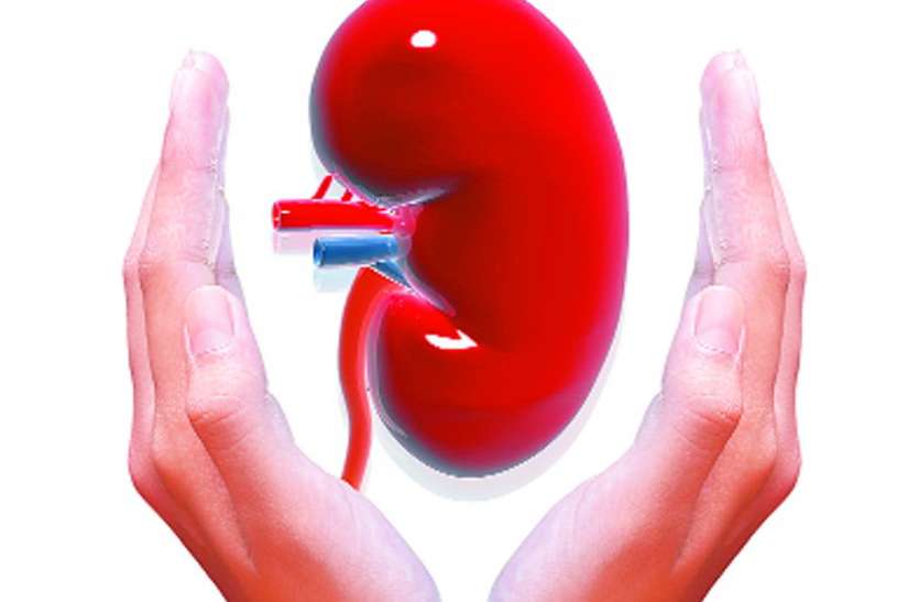 Kidney Health कुछ आदतें बदलोगे तो किडनी मुस्कुराएंगी