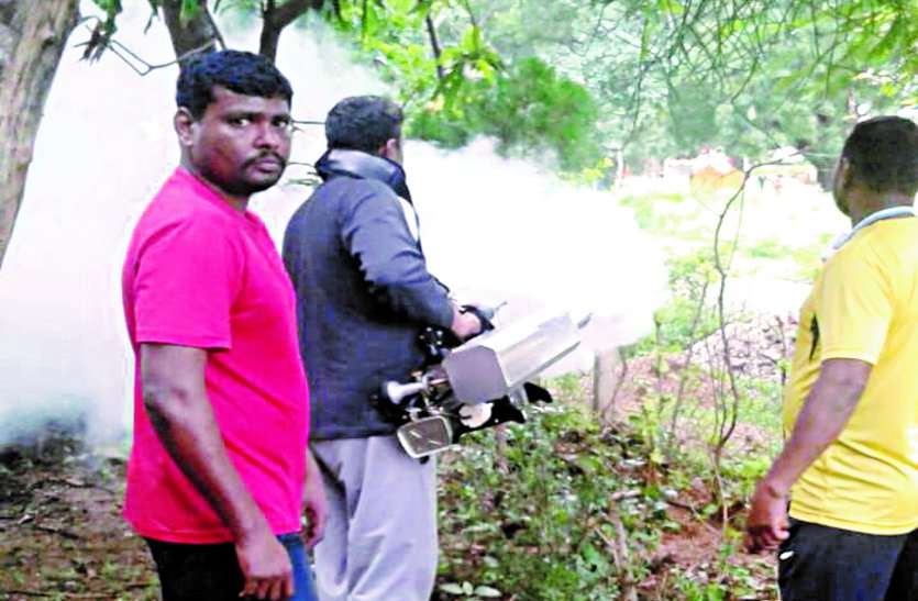 dengue latest news क्या आपको मालूम है गाड़ियों से निकलने वाली मोबिल ऑयल से मर जाते हैं डेंगू के मच्छर