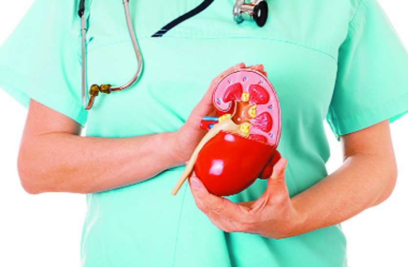 किडनी की केयर से बने रहें हैल्दी Kidney Awareness Week- 2018 : किडनी की केयर से बने रहें हैल्दी