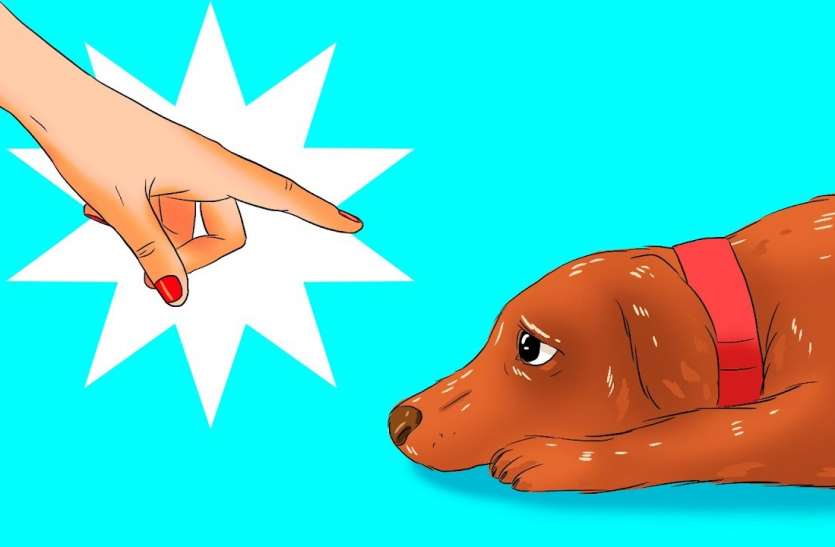 dog कुत्ते के साथ ऐसा घिनौना काम करते समय वीडियो बनाती थी महिला, फिर एक दिन ऐसे हुआ खुलासा..उसके बाद