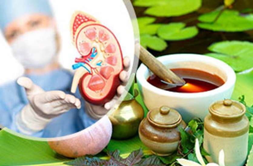 प्राकृतिक चिकित्सा से किडनी का इलाज प्राकृतिक चिकित्सा से किडनी का इलाज