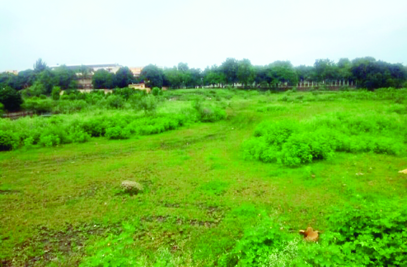 play ground खेल मैदान बदहाल, जंगल में हो गए तब्दील