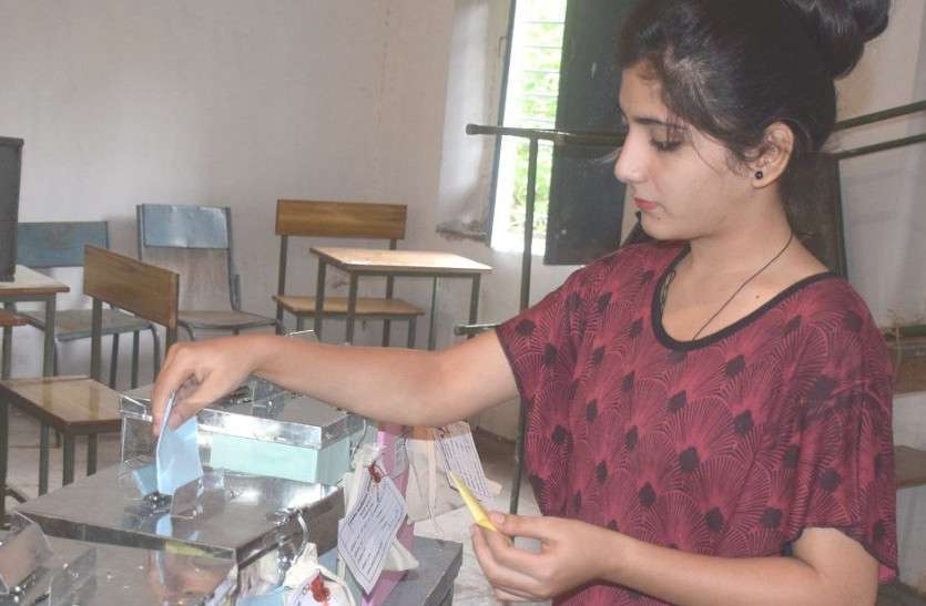 Chhattisgarh Assembly Elections व्यंग्य: भारत पहले एक कृषि प्रधान देश था फिर बना कुर्सी प्रधान, अब चुनाव प्रधान