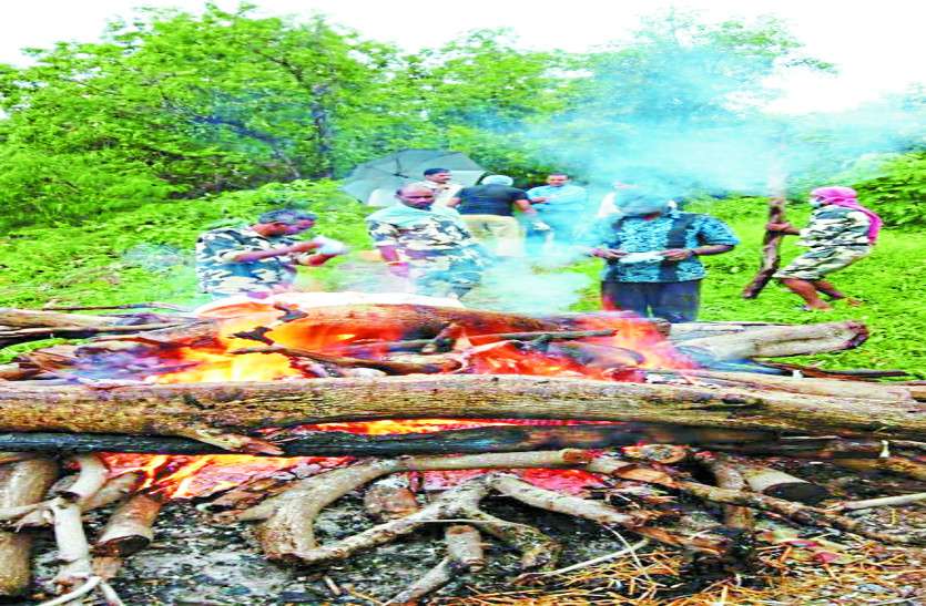 animal death कानन पेंडारी में डायरिया से तीन चौसिंघा की मौत, दो दिन से तीन की हालत बेहद गंभीर