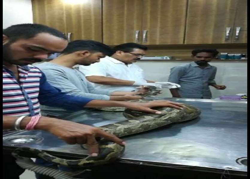python operation