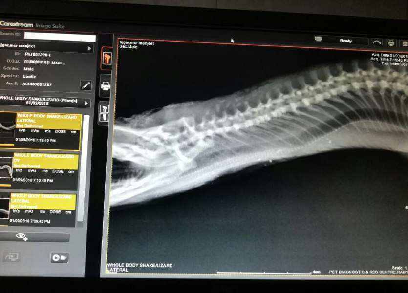 python operation