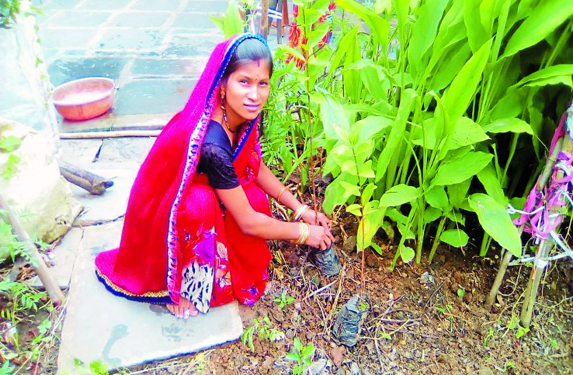 balod patrika जिले के 800 आंगनबाड़ी केन्द्रों में कुपोषित बच्चों को अब सोया पौष्टिक से करेंगे पुष्ट