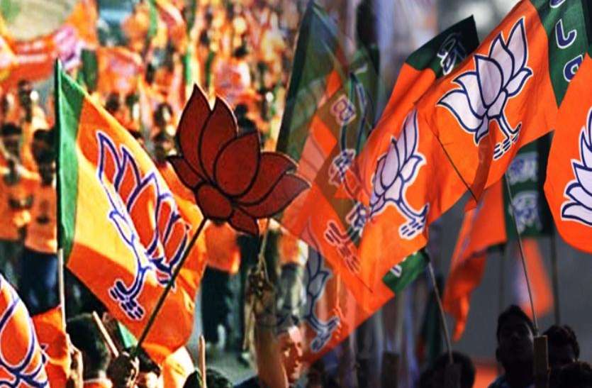 bjp 2019 लोकसभा चुनाव से पहले भाजपा में बगावत, सब के फूले हाथ-पांव
