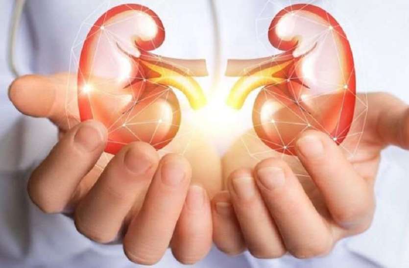 Kidney देश में किडनी से जुड़ी बीमारियों से ग्रसित हैं तीन लाख से ज्यादा लोगः विशेषज्ञ